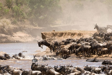 6 Days Great Migration Safari