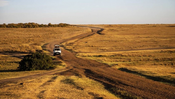 Kenya Safari Experience National Geographic Journeys